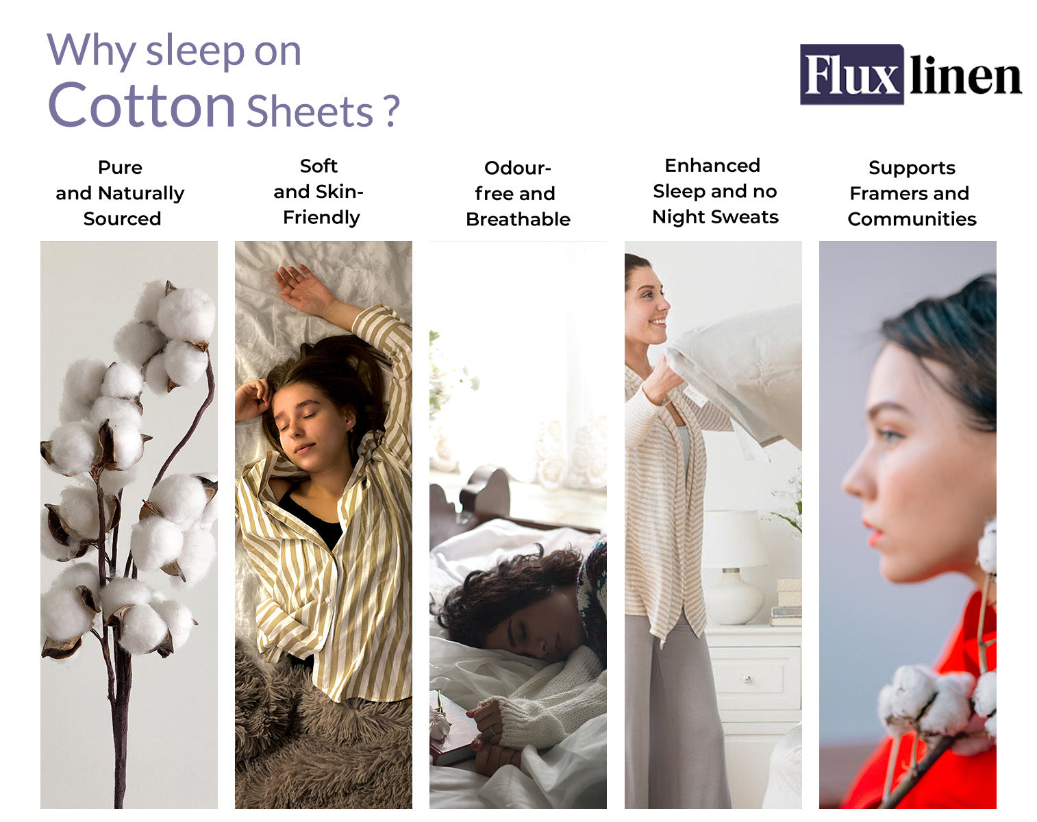 Organic Cotton Sheet